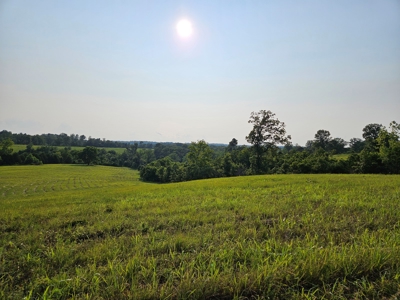 Missouri Ozarks Farm with Breathtaking Views, Well and Power - image 16