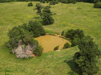 Missouri Ozarks Farm with Breathtaking Views, Well and Power - image 2