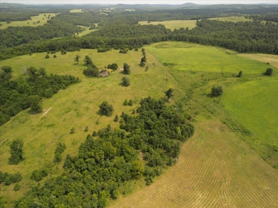 Missouri Ozarks Farm with Breathtaking Views, Well and Power - image 9
