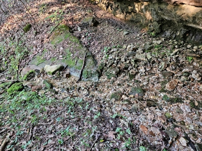 Missouri Ozarks Farm with Breathtaking Views, Well and Power - image 21