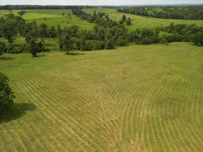 Missouri Ozarks Farm with Breathtaking Views, Well and Power - image 6