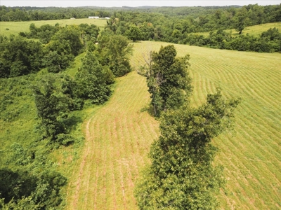 Missouri Ozarks Farm with Breathtaking Views, Well and Power - image 12