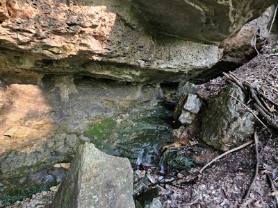 Missouri Ozarks Farm with Breathtaking Views, Well and Power - image 20