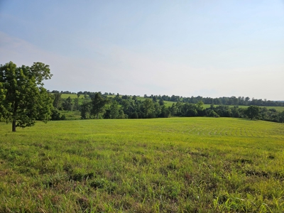 Missouri Ozarks Farm with Breathtaking Views, Well and Power - image 15