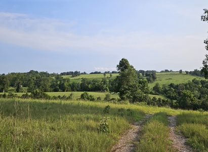 Missouri Ozarks Farm with Breathtaking Views, Well and Power - image 19