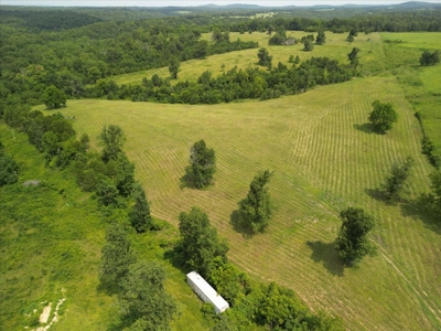 Missouri Ozarks Farm with Breathtaking Views, Well and Power - image 1