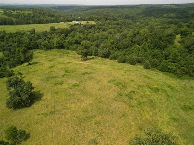 Missouri Ozarks Farm with Breathtaking Views, Well and Power - image 4