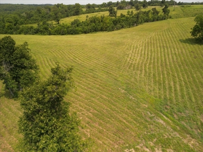 Missouri Ozarks Farm with Breathtaking Views, Well and Power - image 11