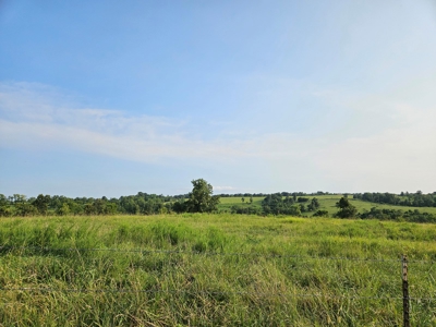 Missouri Ozarks Farm with Breathtaking Views, Well and Power - image 18