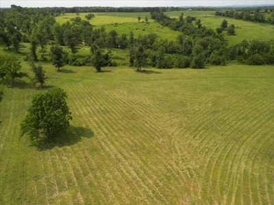 Missouri Ozarks Farm with Breathtaking Views, Well and Power - image 7