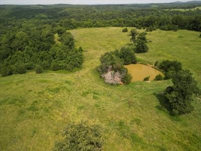 Missouri Ozarks Farm with Breathtaking Views, Well and Power - image 3