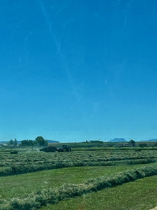 265 acres of irrigated hay ground, 2 feedlots & gravel pit - image 38