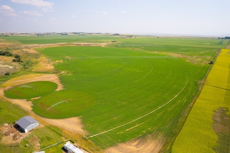 265 acres of irrigated hay ground, 2 feedlots & gravel pit - image 16