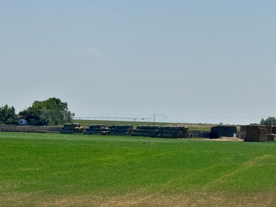 265 acres of irrigated hay ground, 2 feedlots & gravel pit - image 4