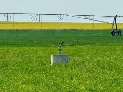 265 acres of irrigated hay ground, 2 feedlots & gravel pit - image 11