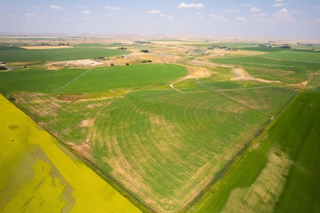 265 acres of irrigated hay ground, 2 feedlots & gravel pit - image 17