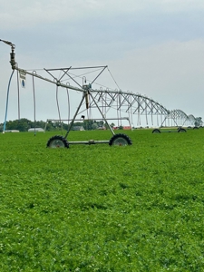 265 acres of irrigated hay ground, 2 feedlots & gravel pit - image 25