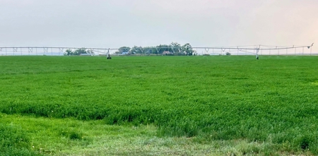 265 acres of irrigated hay ground, 2 feedlots & gravel pit - image 36