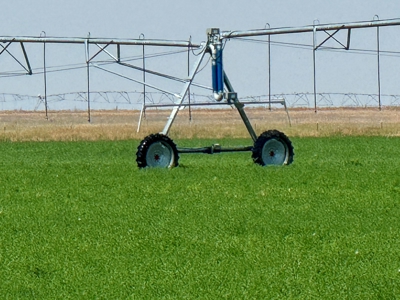 265 acres of irrigated hay ground, 2 feedlots & gravel pit - image 13