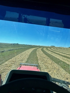 265 acres of irrigated hay ground, 2 feedlots & gravel pit - image 37