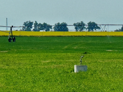265 acres of irrigated hay ground, 2 feedlots & gravel pit - image 5