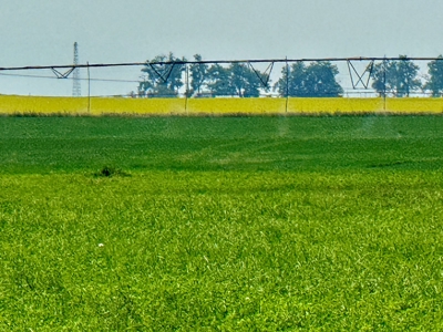 265 acres of irrigated hay ground, 2 feedlots & gravel pit - image 9