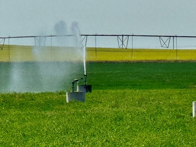 265 acres of irrigated hay ground, 2 feedlots & gravel pit - image 1