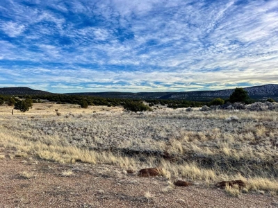 Stunning Lot in Deer Canyon Preserve, Mountainair, NM - image 16