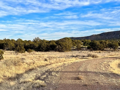 Stunning Lot in Deer Canyon Preserve, Mountainair, NM - image 11