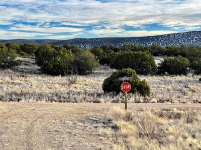 Stunning Lot in Deer Canyon Preserve, Mountainair, NM - image 21