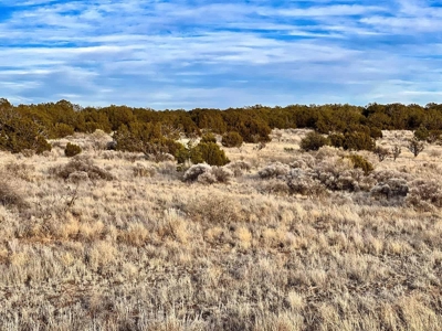 Stunning Lot in Deer Canyon Preserve, Mountainair, NM - image 18