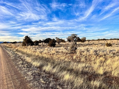 Stunning Lot in Deer Canyon Preserve, Mountainair, NM - image 7