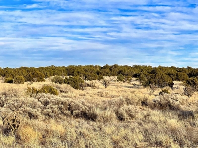 Stunning Lot in Deer Canyon Preserve, Mountainair, NM - image 13