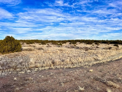 Stunning Lot in Deer Canyon Preserve, Mountainair, NM - image 17