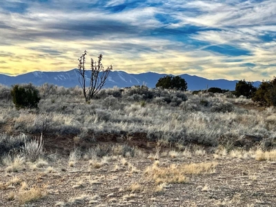 Stunning Lot in Deer Canyon Preserve, Mountainair, NM - image 24