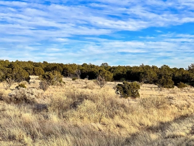 Stunning Lot in Deer Canyon Preserve, Mountainair, NM - image 12