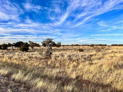 Stunning Lot in Deer Canyon Preserve, Mountainair, NM - image 8