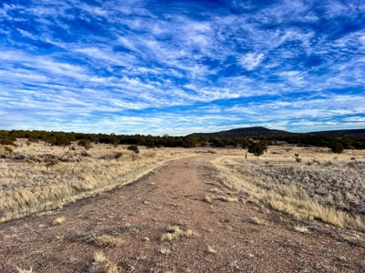 Stunning Lot in Deer Canyon Preserve, Mountainair, NM - image 19
