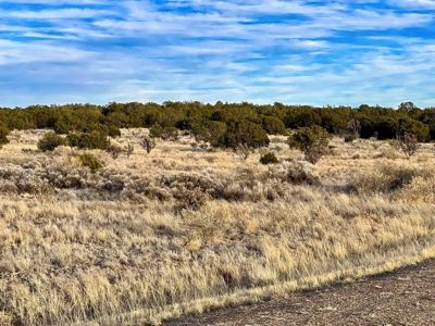 Stunning Lot in Deer Canyon Preserve, Mountainair, NM - image 14