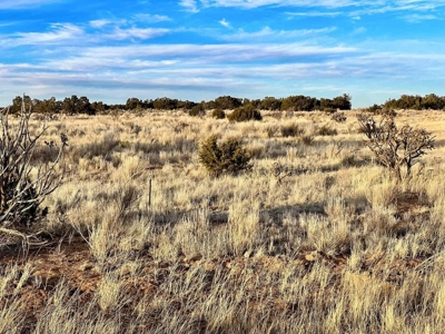 Stunning Lot in Deer Canyon Preserve, Mountainair, NM - image 9