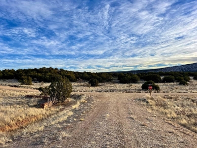 Stunning Lot in Deer Canyon Preserve, Mountainair, NM - image 10