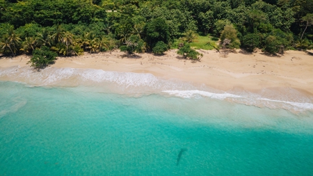 Beachfront Villa, Red Frog Island Beach Resort, Panama - image 1