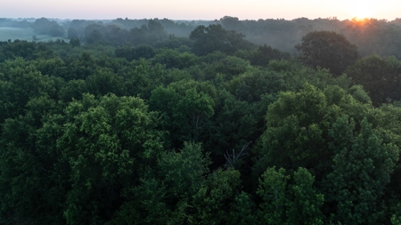 East Texas Duck & Deer Hunting Property Henderson County - image 6