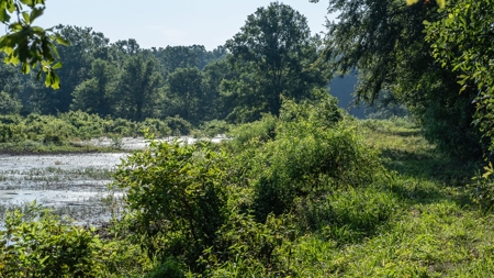East Texas Duck & Deer Hunting Property Henderson County - image 28