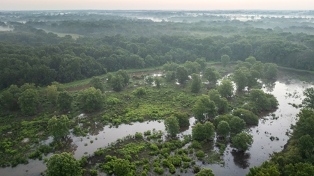 East Texas Duck & Deer Hunting Property Henderson County - image 1