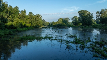 East Texas Duck & Deer Hunting Property Henderson County - image 15