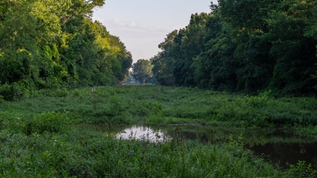 East Texas Duck & Deer Hunting Property Henderson County - image 10
