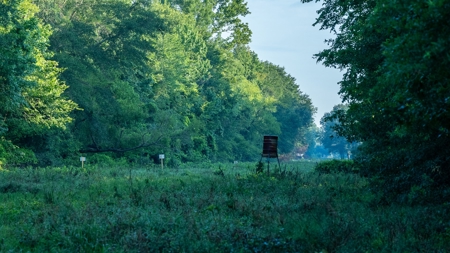 East Texas Duck & Deer Hunting Property Henderson County - image 21