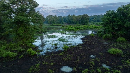 East Texas Duck & Deer Hunting Property Henderson County - image 14