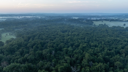 East Texas Duck & Deer Hunting Property Henderson County - image 5